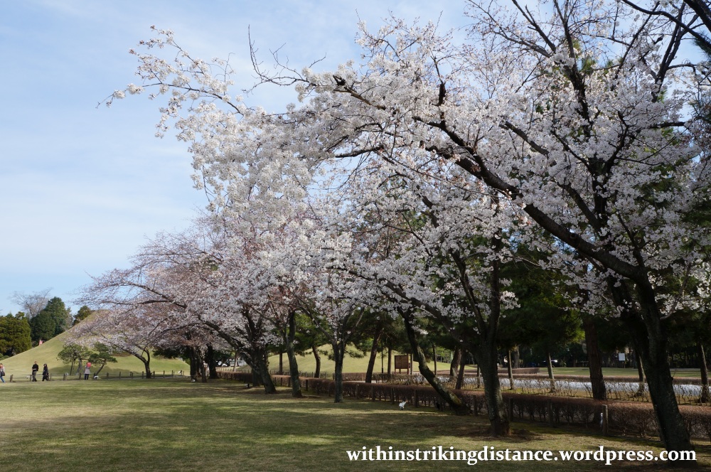 27Mar15 009 Japan Kyushu Kumamoto Suizenji Jojuen Garden