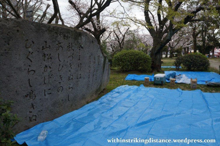 28Mar15 007 Japan Kyushu Fukuoka Castle Maizuru Ohori Park Sakura Cherry Blossom