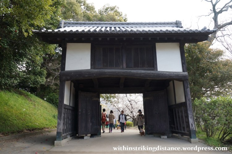 28Mar15 010 Japan Kyushu Fukuoka Castle Maizuru Ohori Park Sakura Cherry Blossom