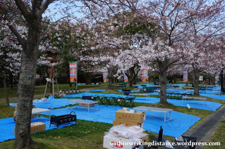 28Mar15 011 Japan Kyushu Fukuoka Castle Maizuru Ohori Park Sakura Cherry Blossom