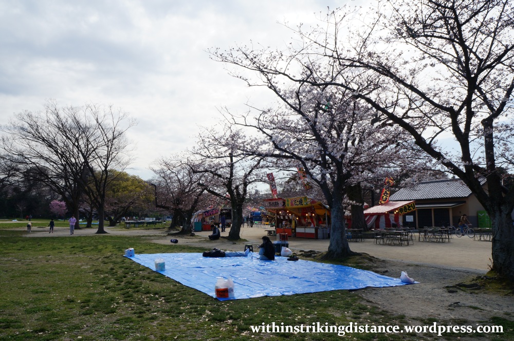 28Mar15 020 Japan Kyushu Fukuoka Castle Maizuru Ohori Park Sakura Cherry Blossom