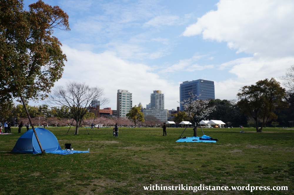 28Mar15 021 Japan Kyushu Fukuoka Castle Maizuru Ohori Park Sakura Cherry Blossom