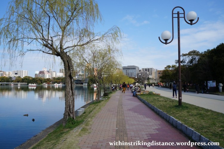 28Mar15 024 Japan Kyushu Fukuoka Castle Maizuru Ohori Park Sakura Cherry Blossom