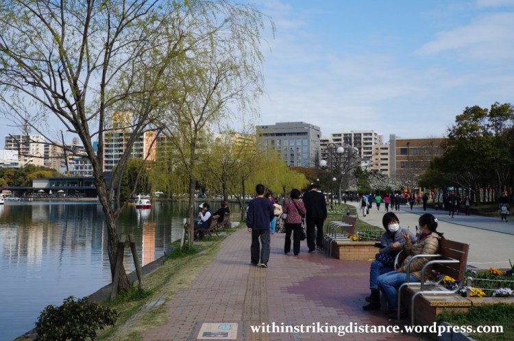 28Mar15 026 Japan Kyushu Fukuoka Castle Maizuru Ohori Park Sakura Cherry Blossom