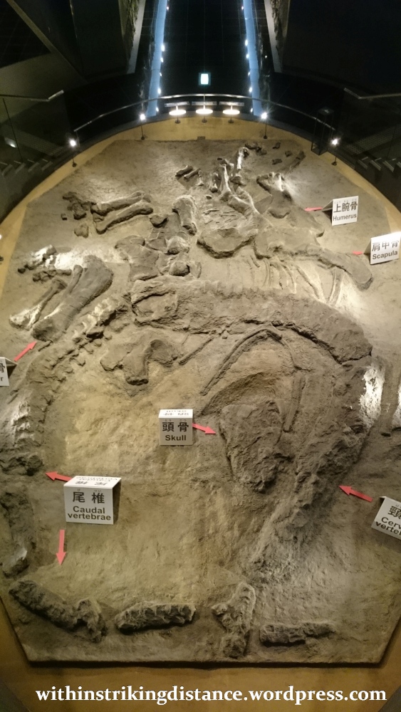 30Jun15 005 Japan Honshu Fukui Prefectural Dinosaur Museum
