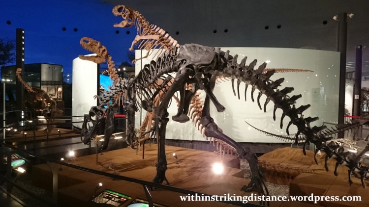 30Jun15 007 Japan Honshu Fukui Prefectural Dinosaur Museum