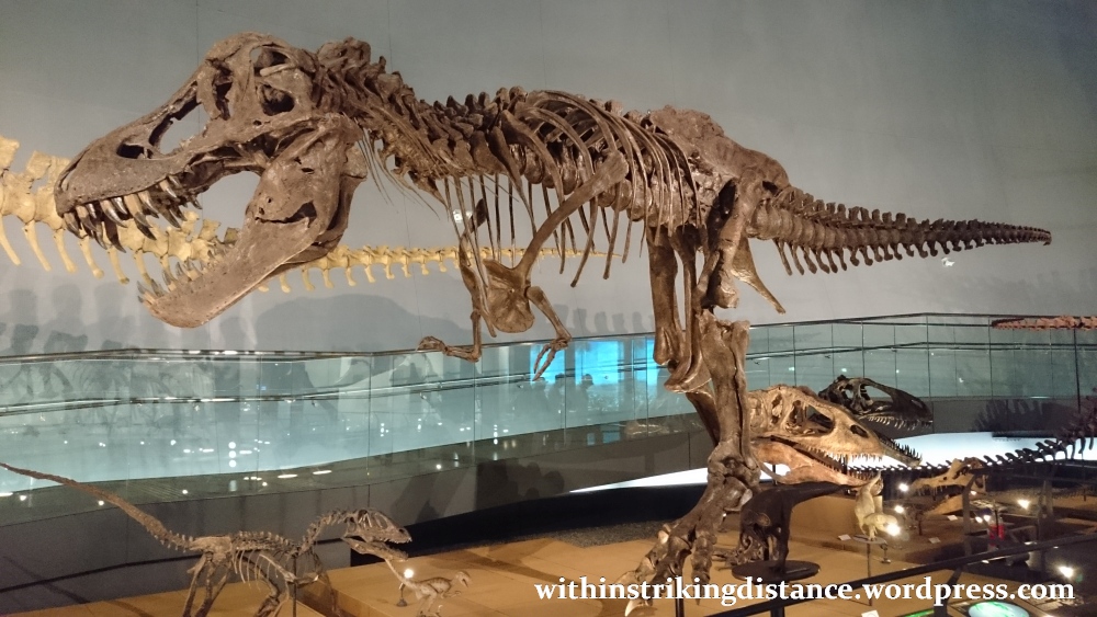 30Jun15 008 Japan Honshu Fukui Prefectural Dinosaur Museum
