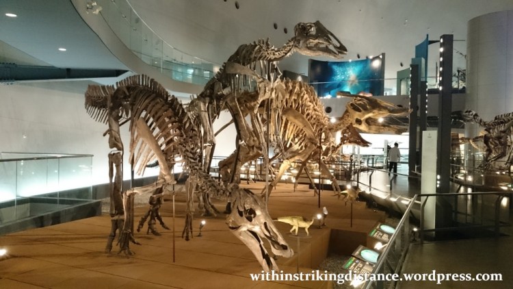 30Jun15 012 Japan Honshu Fukui Prefectural Dinosaur Museum