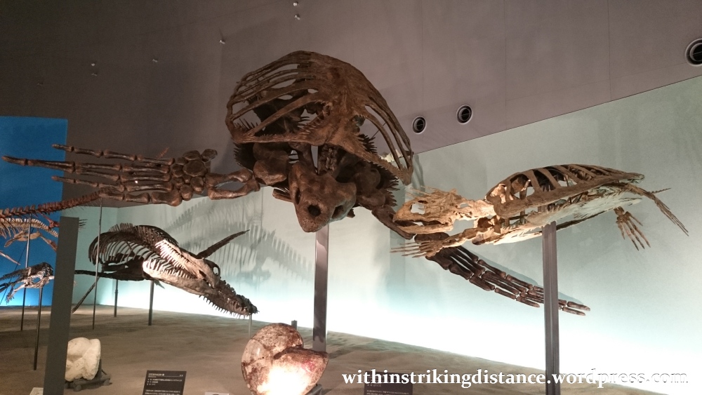 30Jun15 016 Japan Honshu Fukui Prefectural Dinosaur Museum