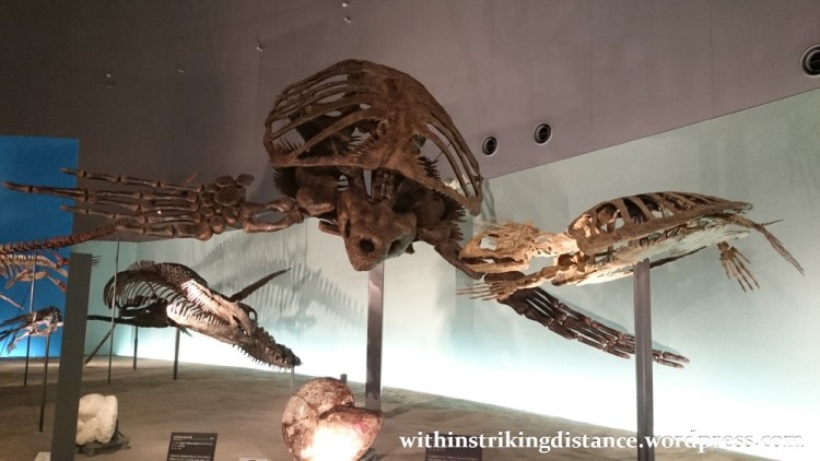 30Jun15 016 Japan Honshu Fukui Prefectural Dinosaur Museum