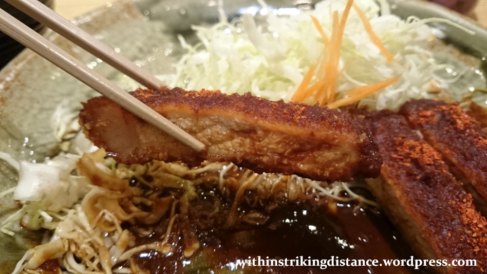 06Jun16 003 Japan Honshu Nagoya Yabaton Miso Rosu Tonkatsu Teishoku Dinner