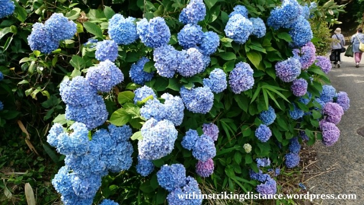 03Jul15 001 Japan Honshu Tohoku Iwate Hiraizumi Takadachi Gikeido