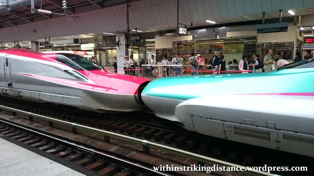 03Jul15 001 Tokyo Station JR East Tohoku Akita Shinkansen Coupled E5 E6 Series Bullet Train