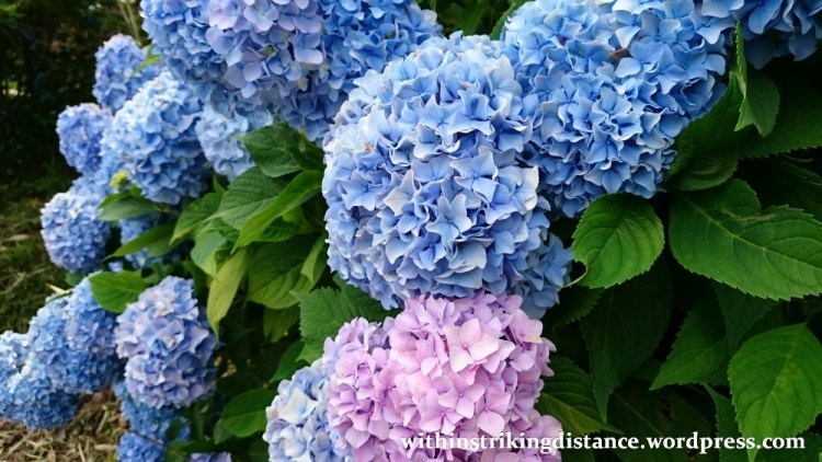 03Jul15 002 Japan Honshu Tohoku Iwate Hiraizumi Takadachi Gikeido