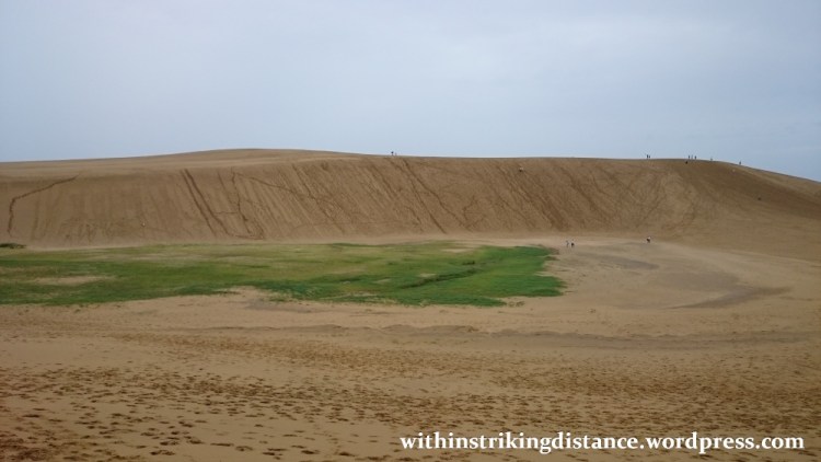08jul15-009-japan-tottori-sand-dunes-sakyu