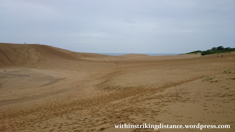 08jul15-010-japan-tottori-sand-dunes-sakyu