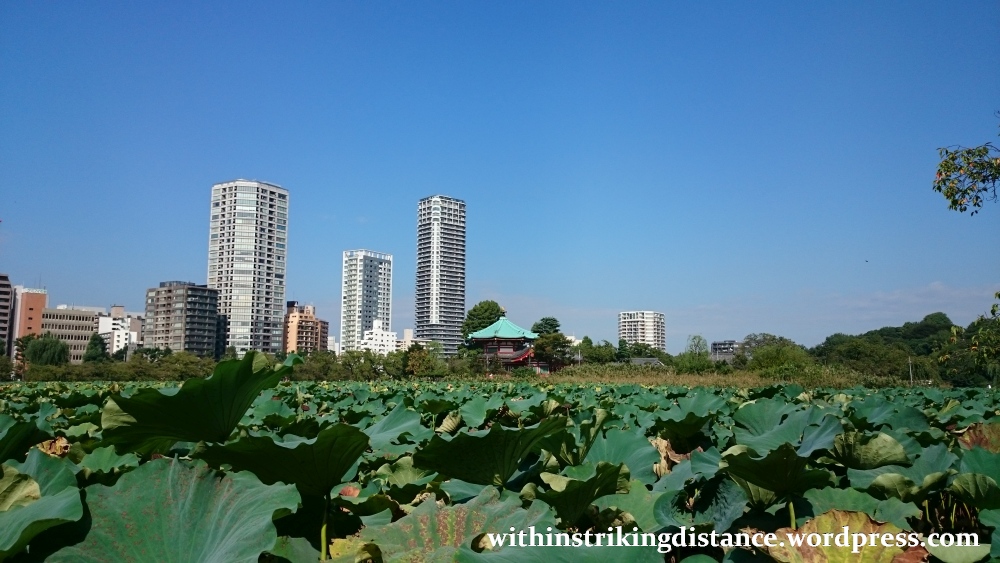 02oct16-001-japan-kanto-tokyo-taito-ueno-park-shinobazu-pond-bentendo