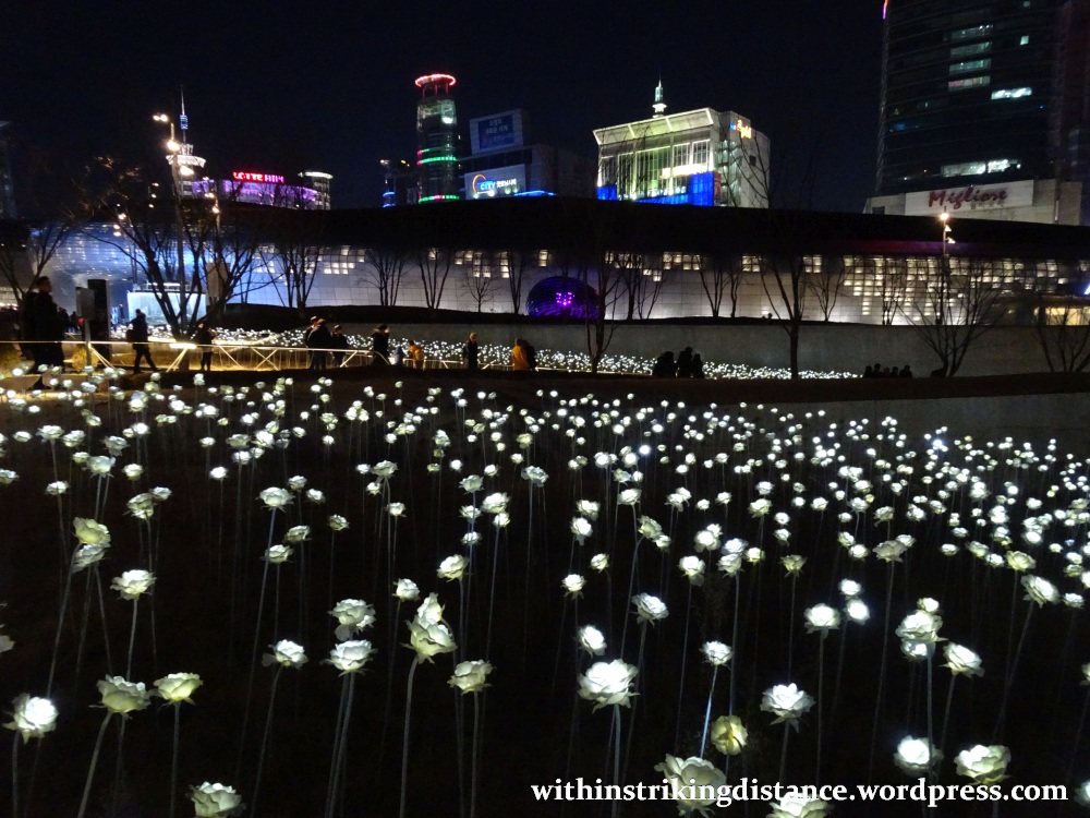 07feb16-006-south-korea-seoul-dongdaemun-design-plaza-led-rose-garden