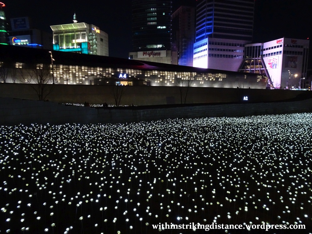 07feb16-007-south-korea-seoul-dongdaemun-design-plaza-led-rose-garden