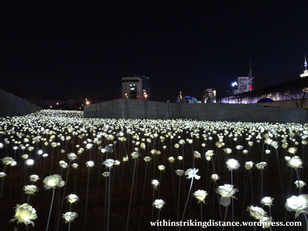 07feb16-008-south-korea-seoul-dongdaemun-design-plaza-led-rose-garden