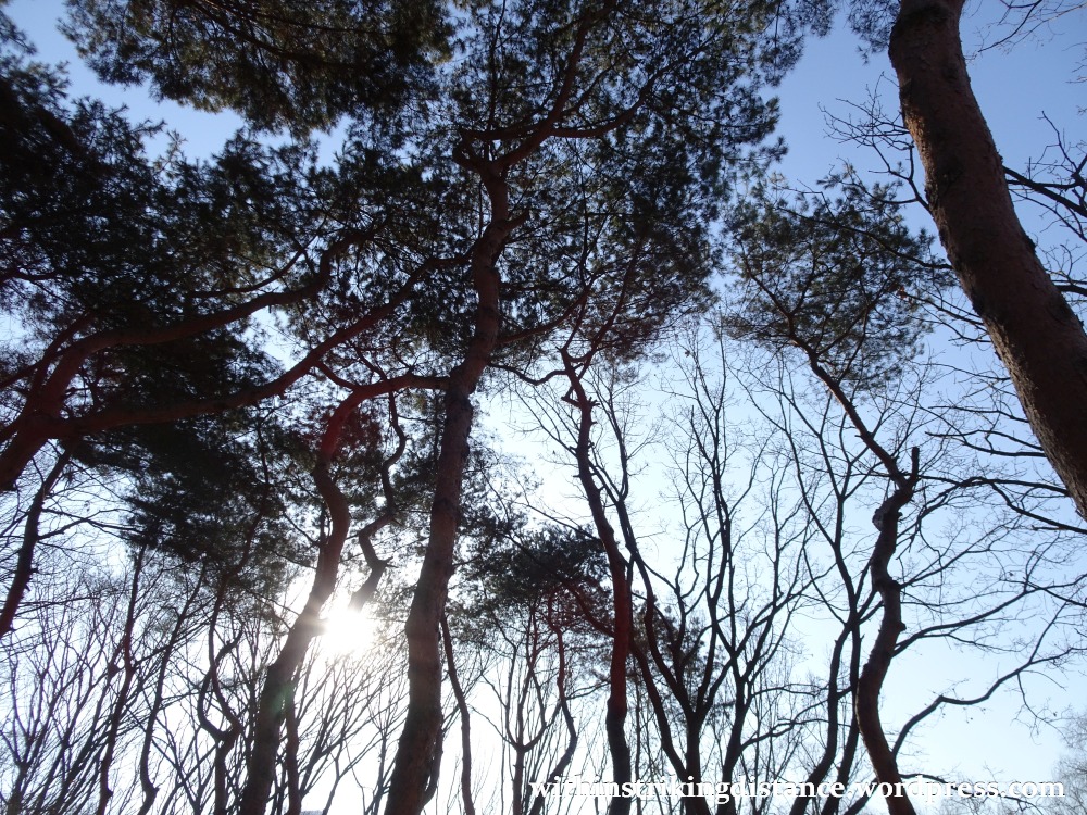 09feb16-014-south-korea-seoul-seonjeongneung-joseon-royal-tombs