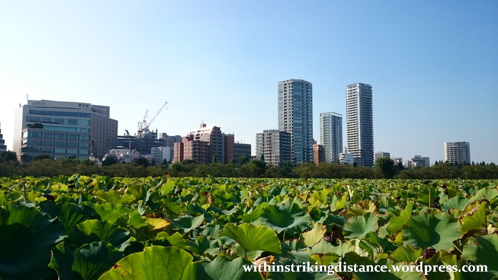 02oct16-001-japan-kanto-tokyo-taito-ueno-park-shinobazu-pond