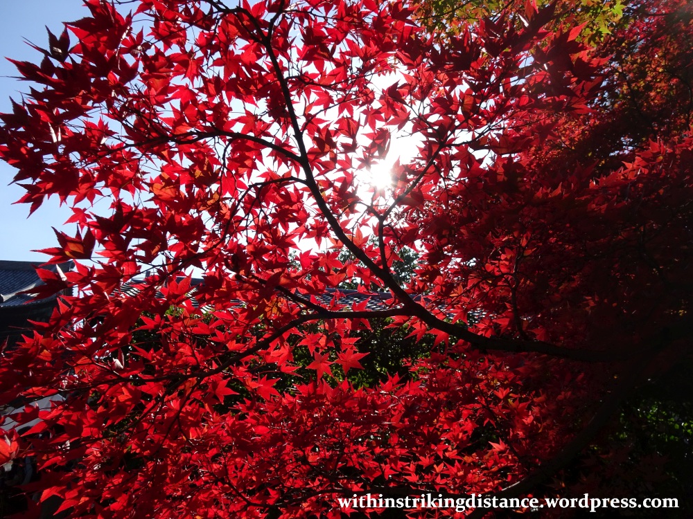 12nov16-003-japan-kyoto-higashiyama-tofukuji-autumn-leaves-koyo