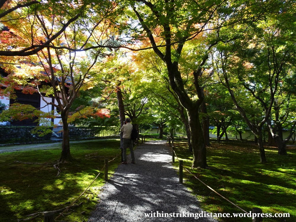 12nov16-004-japan-kyoto-higashiyama-tofukuji-autumn-leaves-koyo