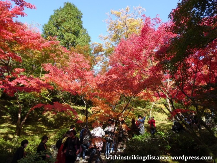 12nov16-005-japan-kyoto-higashiyama-tofukuji-autumn-leaves-koyo