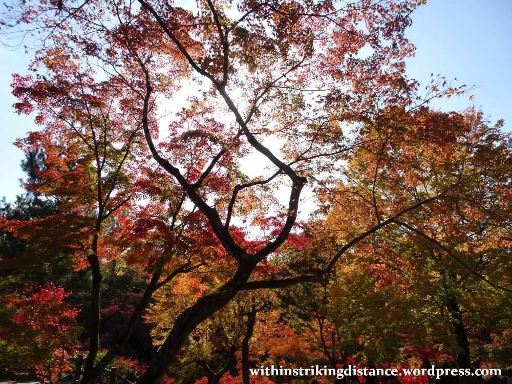 12nov16-008-japan-kyoto-higashiyama-tofukuji-autumn-leaves-koyo
