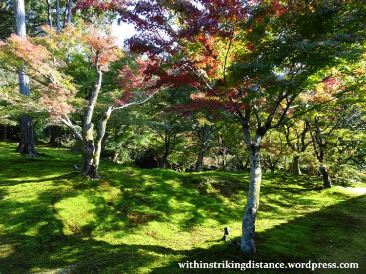 12nov16-012-japan-kyoto-higashiyama-tofukuji-autumn-leaves-koyo
